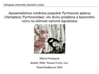 Milena Prokopová školitel: RNDr. Roman Fuchs, Csc. České Budějovice 2005