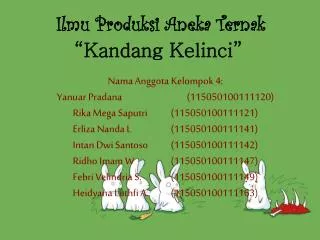 kandang kelinci