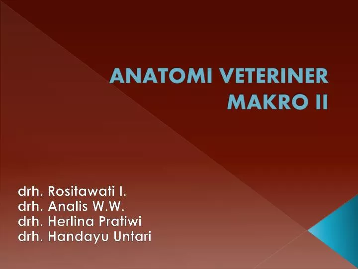 anatomi veteriner makro ii