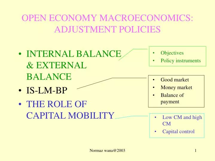 open economy macroeconomics adjustment policies