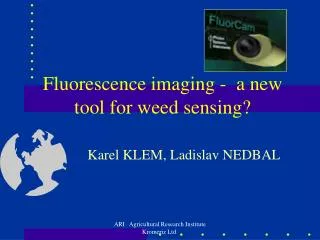 Fluorescence imaging - a new tool for weed sensing?