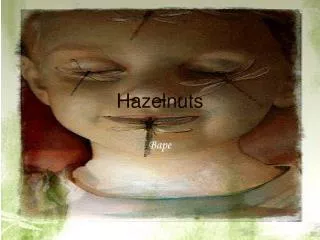 Hazelnuts