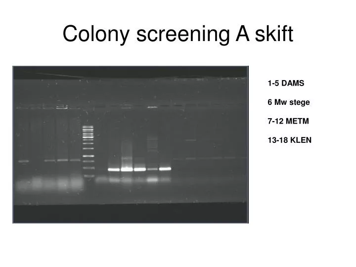 colony screening a skift