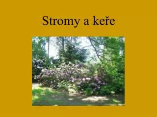 stromy a ke e