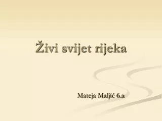 ivi svijet rijeka