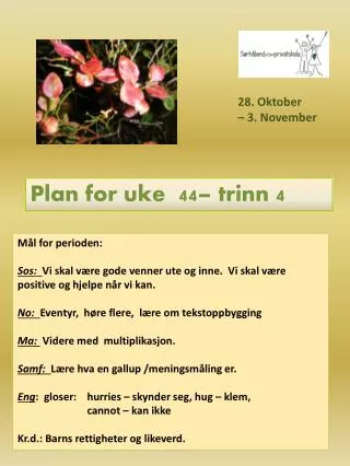 plan for uke 44 trinn 4