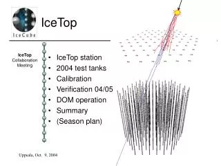 IceTop