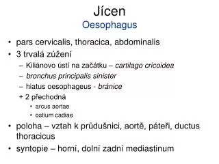 j cen oesophagus