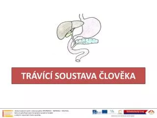 tr v c soustava lov ka