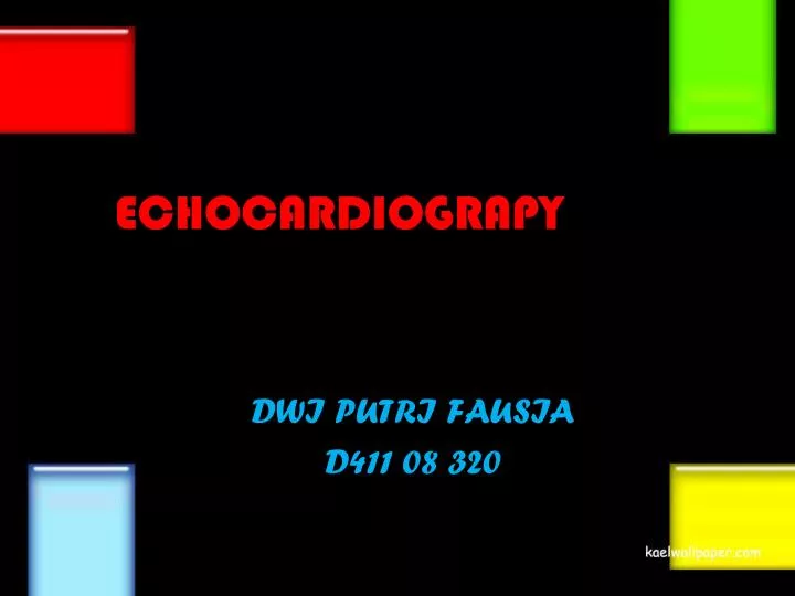 e echocardiograpy