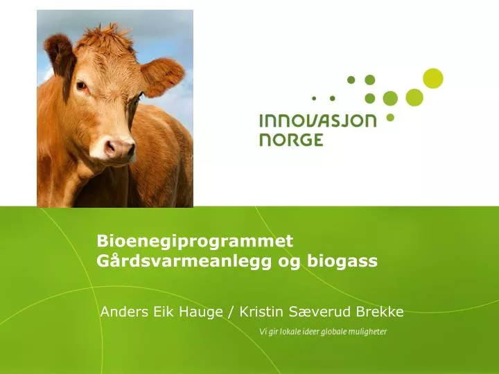 bioenegiprogrammet g rdsvarmeanlegg og biogass