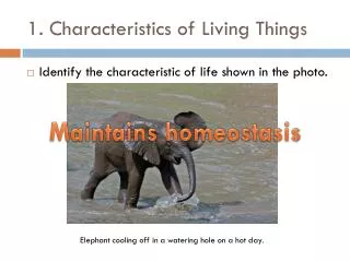 1. Characteristics of Living Things