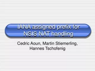 IANA assigned prefix for NSIS NAT handling
