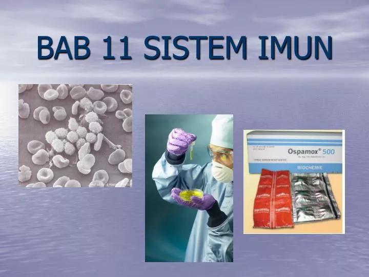 bab 11 sistem imun