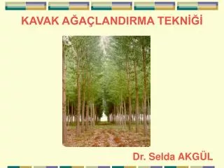 kavak a a landirma tekn