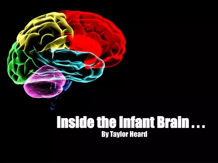 inside the infant brain