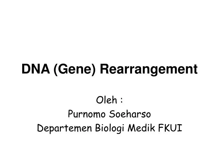 dna gene rearrangement