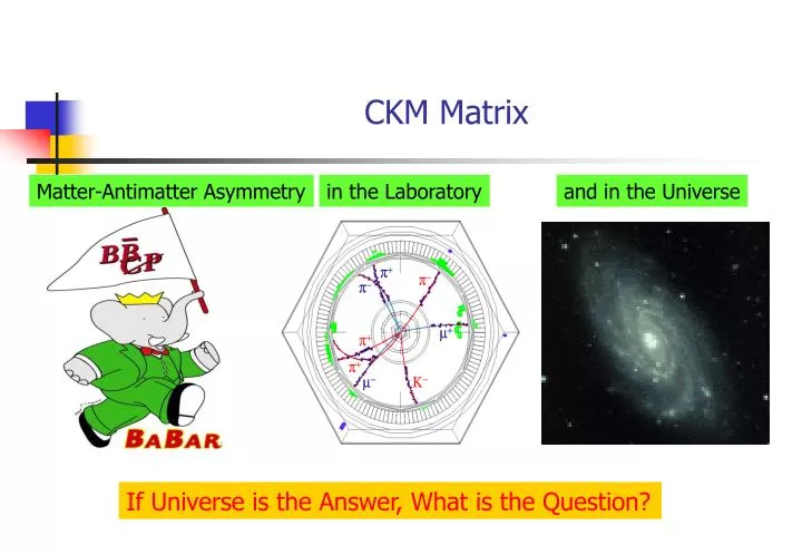 ckm matrix