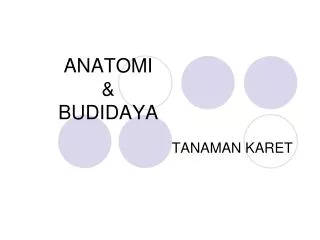anatomi budidaya