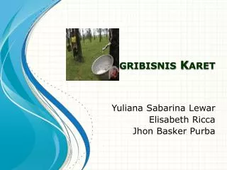 agribisnis karet