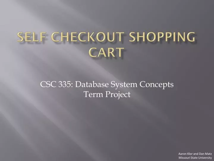 self checkout shopping cart