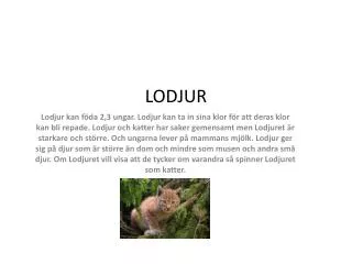lodjur