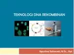 PPT - TEKNOLOGI DNA REKOMBINAN PowerPoint Presentation, Free Download ...