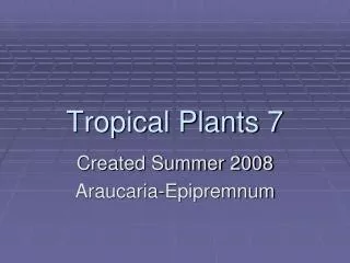 Tropical Plants 7