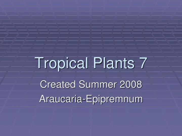 tropical plants 7