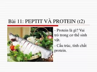 b i 11 peptit v protein t2