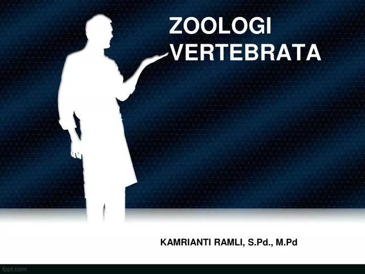 zoologi vertebrata