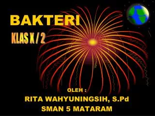 bakteri