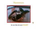 Hur man fiskar det svarta GULDET - slide 1