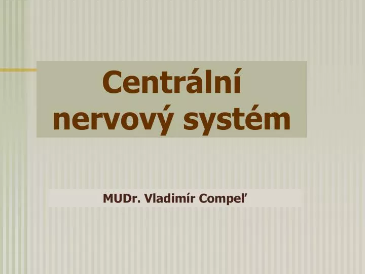 centr ln nervov syst m