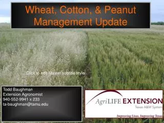 Wheat, Cotton, &amp; Peanut Management Update