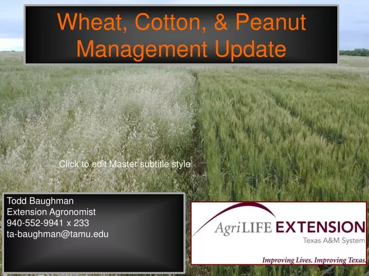 wheat cotton peanut management update