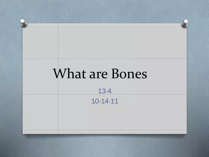 what are bones