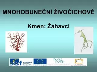 mnohobune n ivo ichov kmen ahavci