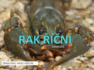 rak n