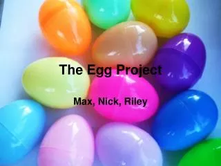 The Egg Project