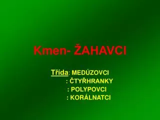 kmen ahavci