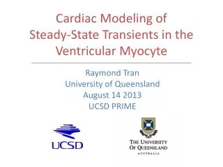 Cardiac Modeling of Steady-State Transients in the Ventricular Myocyte