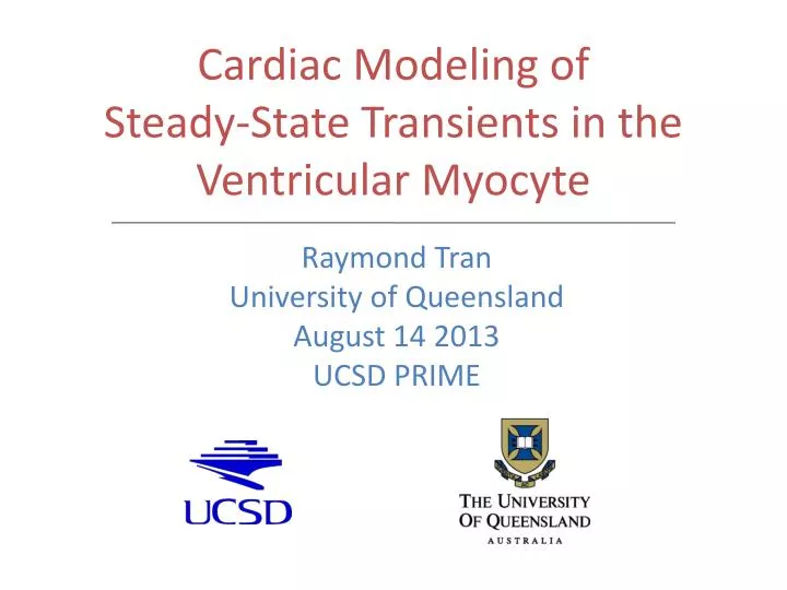 cardiac modeling of steady state transients in the ventricular myocyte