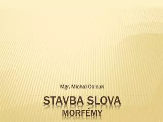 mgr michal oblouk