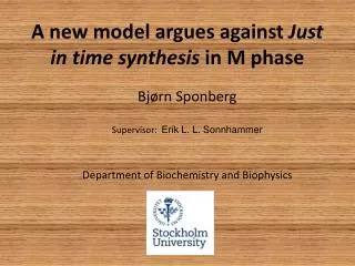 A new model argues against Just in time synthesis in M phase