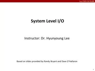 system level i o