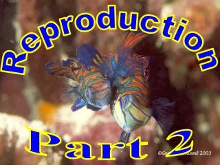 Reproduction