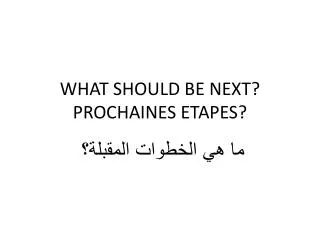 WHAT SHOULD BE NEXT? PROCHAINES ETAPES ?