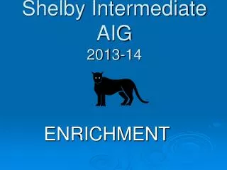 Shelby Intermediate AIG 2013-14