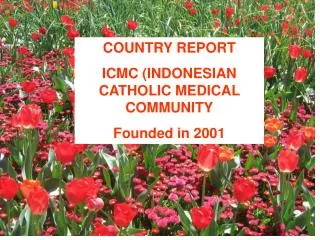 COUNTRY REPORT ICMC (INDONESIAN CATHOLIC MEDICAL COMMUNITY Founded in 2001